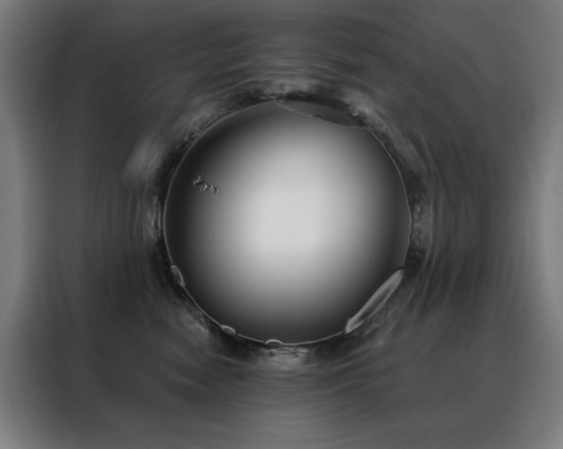 X0000088390474200705221118