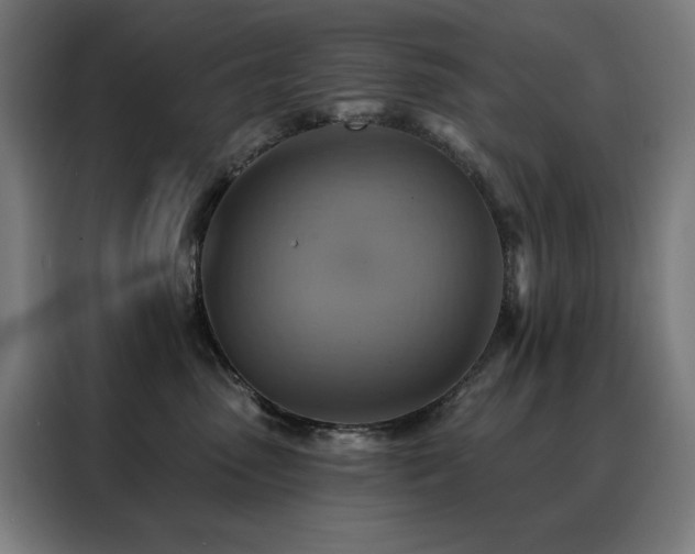 X0000088390475200705221118