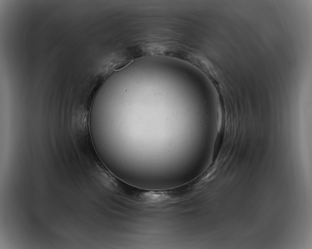 X0000088390477200705221118