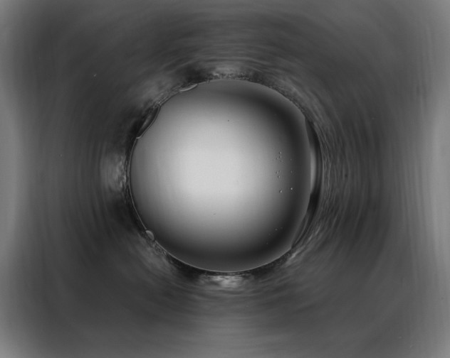 X0000088390478200705221118