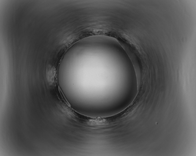 X0000088390480200705221118