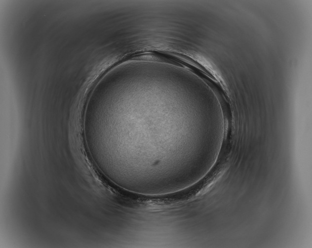 X0000088390481200705221117