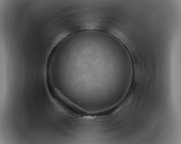 X0000088390482200705221117