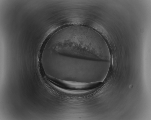 X0000088390483200705221117