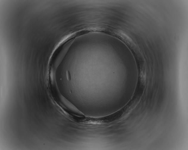 X0000088390484200705221117