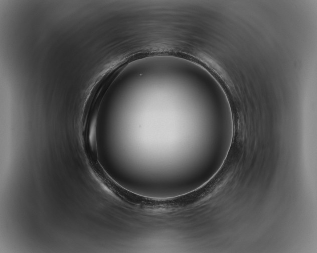 X0000088390485200705221117