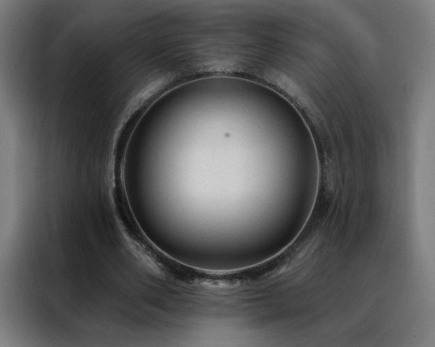 X0000088390486200705221117