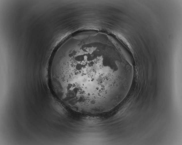 X0000088390487200705221117