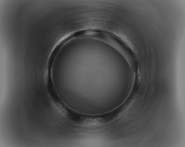 X0000088390488200705221117