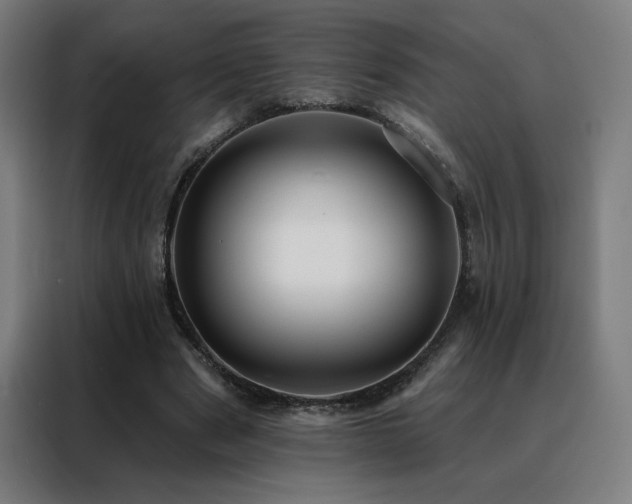 X0000088390489200705221117