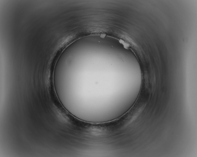 X0000088390490200705221117