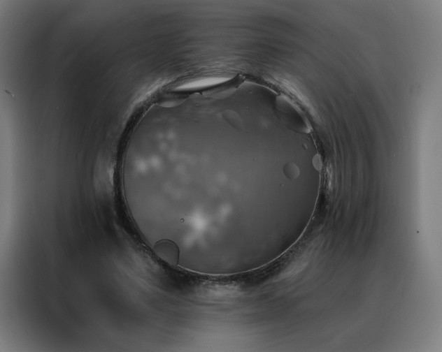 X0000088390491200705221117