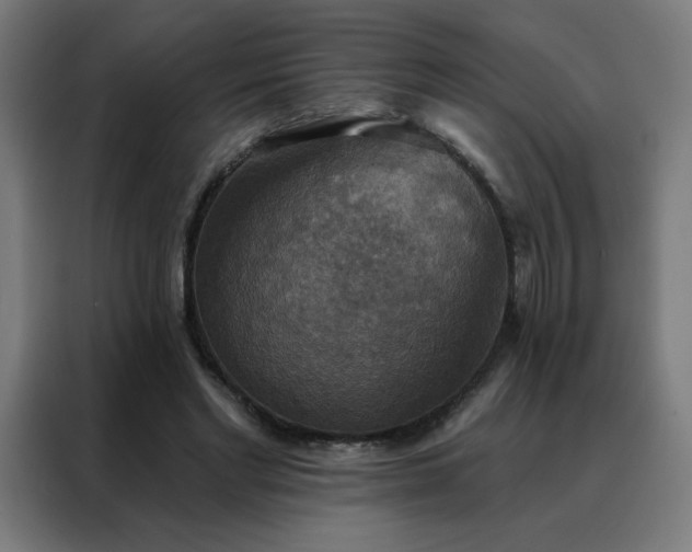 X0000088390493200705221117