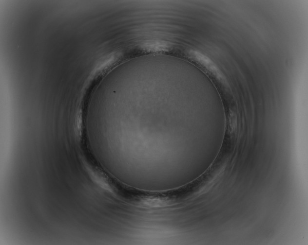 X0000088390494200705221117