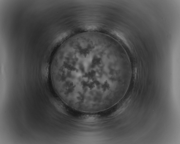 X0000088390495200705221117