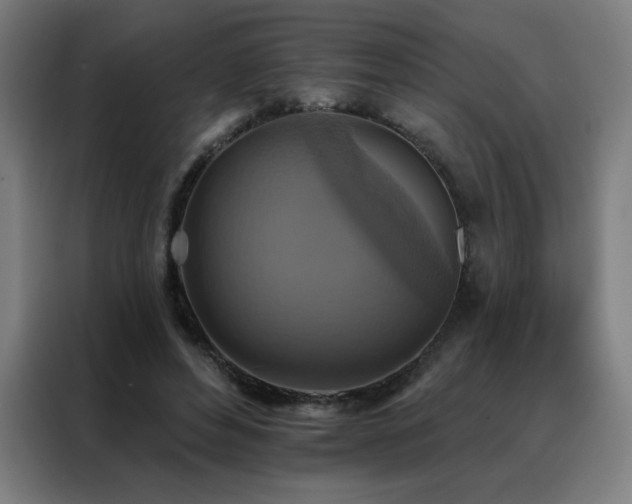 X0000088390496200705221117