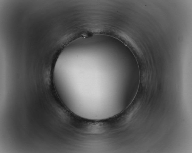 X0000088390497200705221117