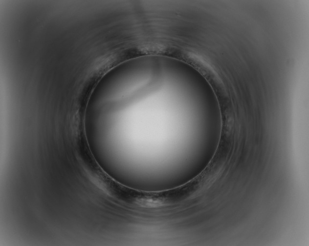 X0000088390498200705221117