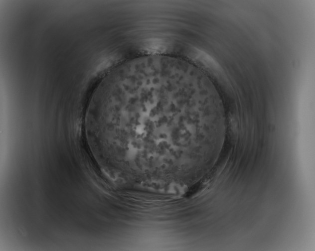 X0000088390499200705221117