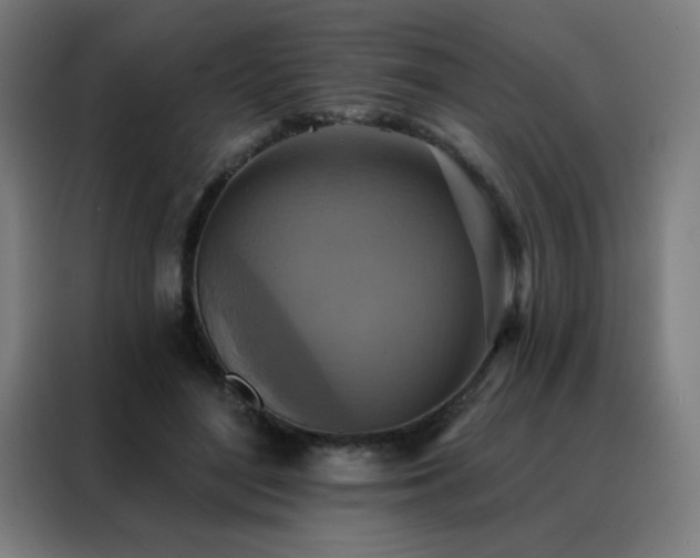 X0000088390500200705221117