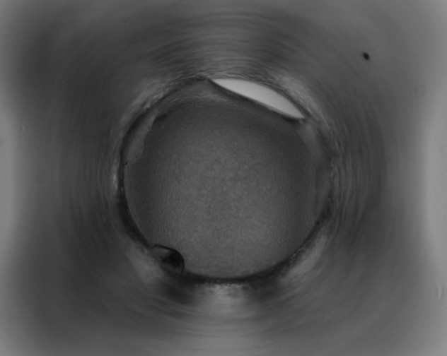 X0000088390501200705221117