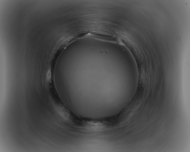 X0000088390502200705221117