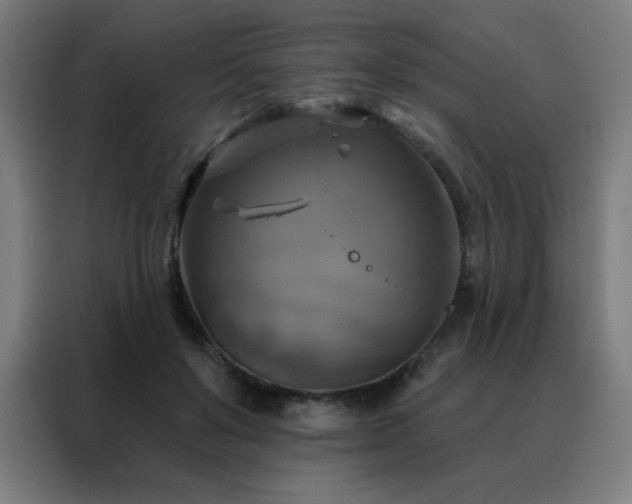 X0000088390503200705221117