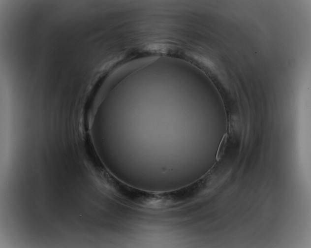 X0000088390504200705221117