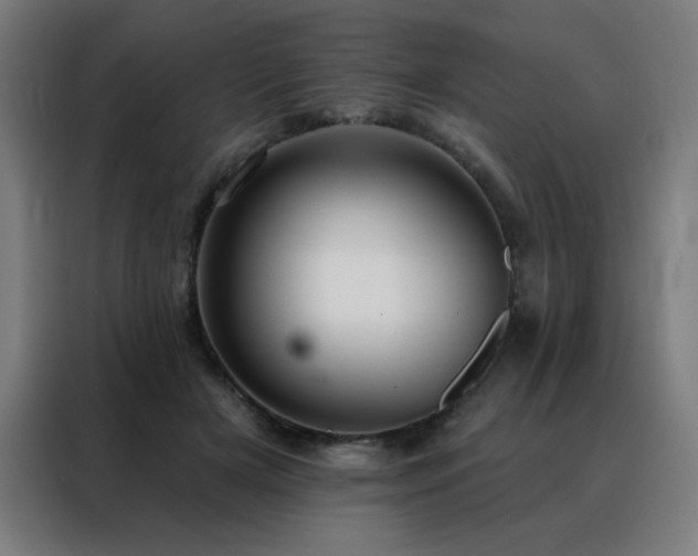 X0000088390505200705221117