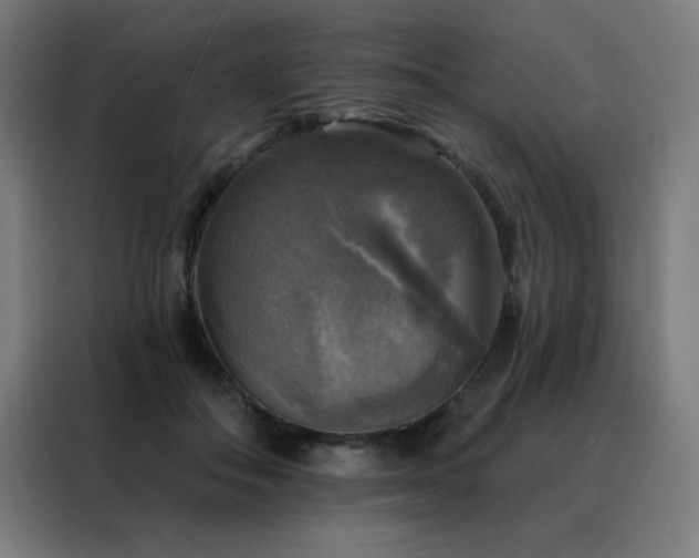 X0000088390506200705221117