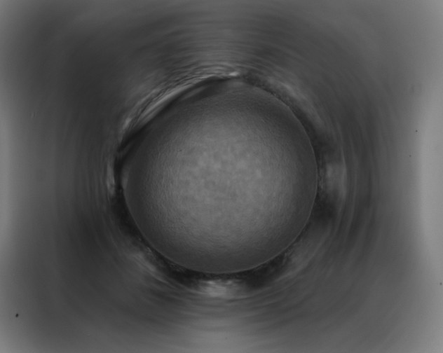 X0000088390508200705221117