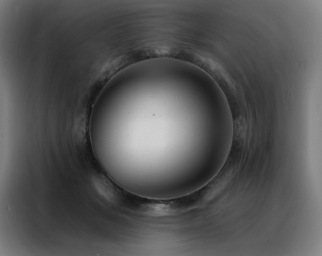 X0000088390509200705221117