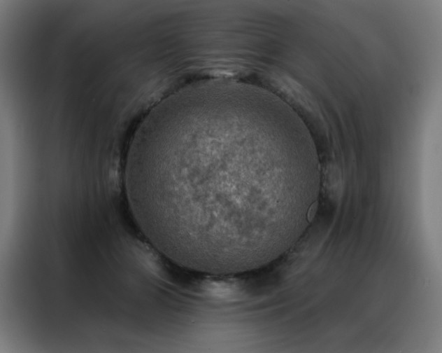 X0000088390510200705221117