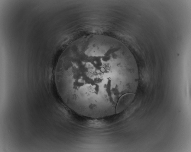 X0000088390511200705221117