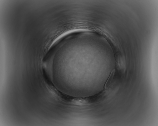 X0000088390512200705221117