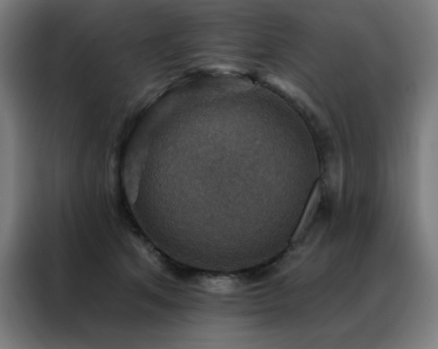 X0000088390513200705221117