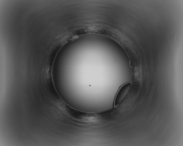 X0000088390514200705221117