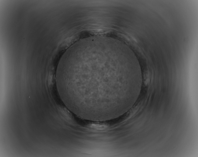 X0000088390515200705221117