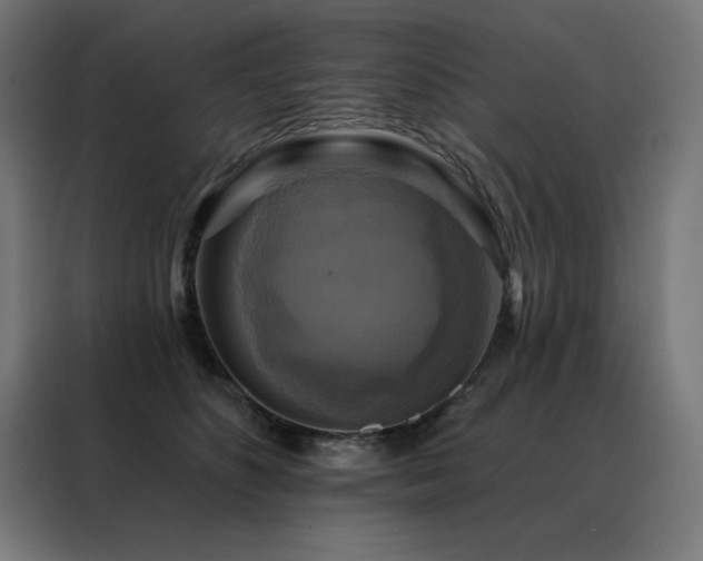 X0000088390516200705221117