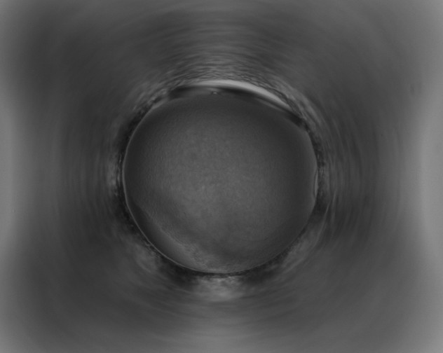 X0000088390517200705221117