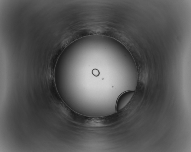 X0000088390518200705221117