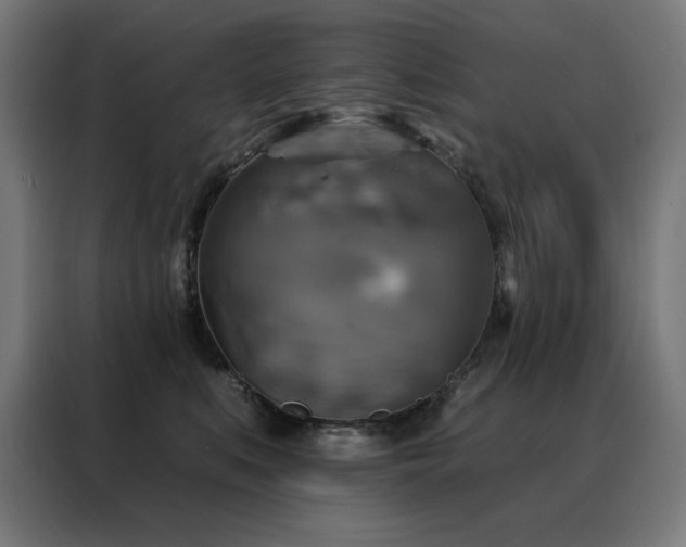 X0000088390519200705221117