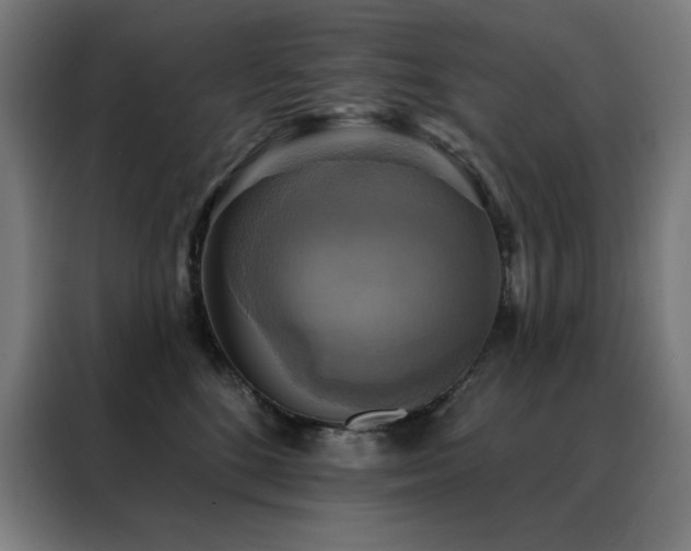 X0000088390520200705221117