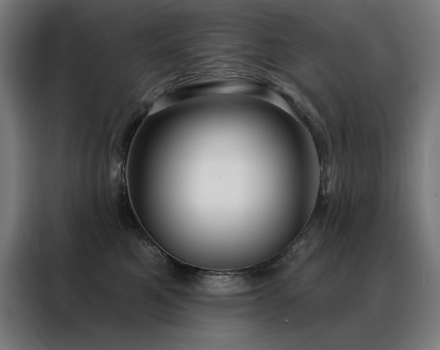 X0000088390521200705221117