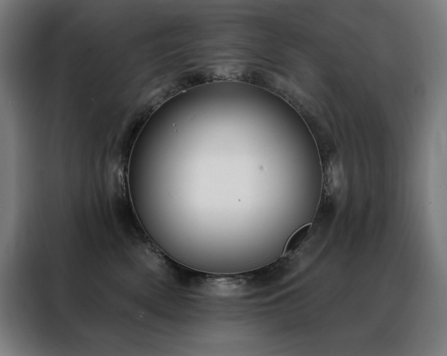 X0000088390522200705221117