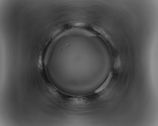 X0000088390524200705221117