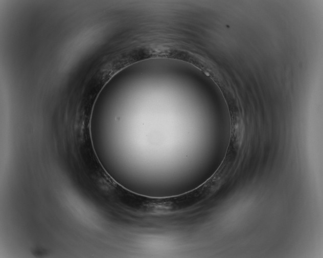 X0000088390525200705221117