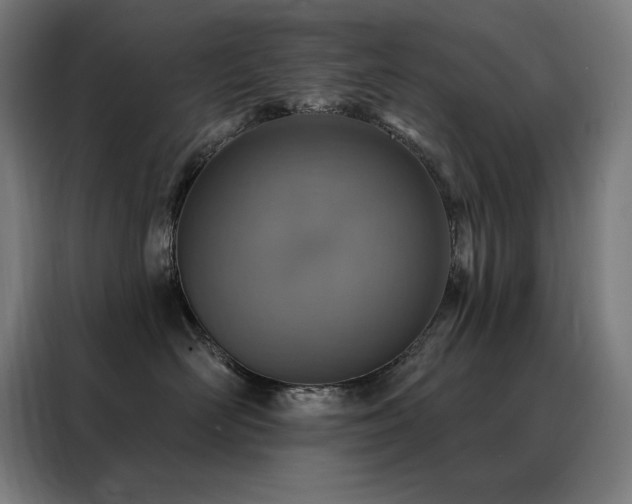 X0000088390526200705221117