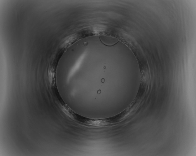 X0000088390527200705221117