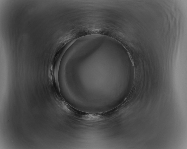 X0000088390528200705221117